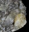 Twinned Calcite Crystals With Chalcopyrite - Missouri #35931-3